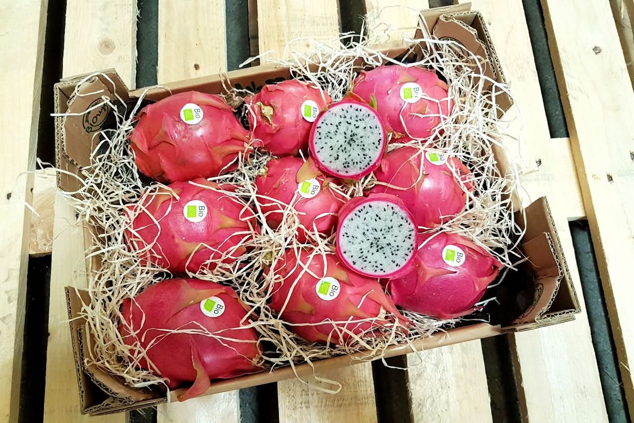 Drachenfrucht weiss wild (unbehandelt) von Julian 2,5kg Box Sparpreis %