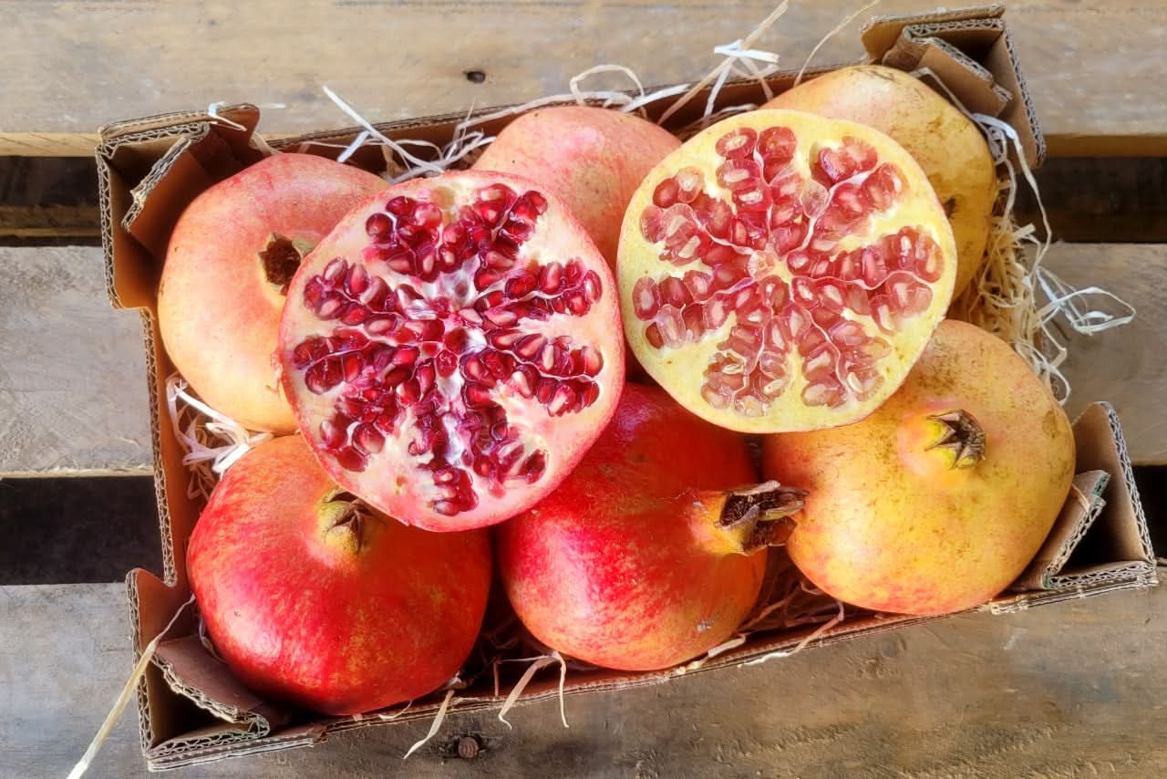 Granatapfel Mix Bio von Antonio