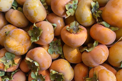 Kaki "Hana Fuyu" Bio & Demeter von Julia