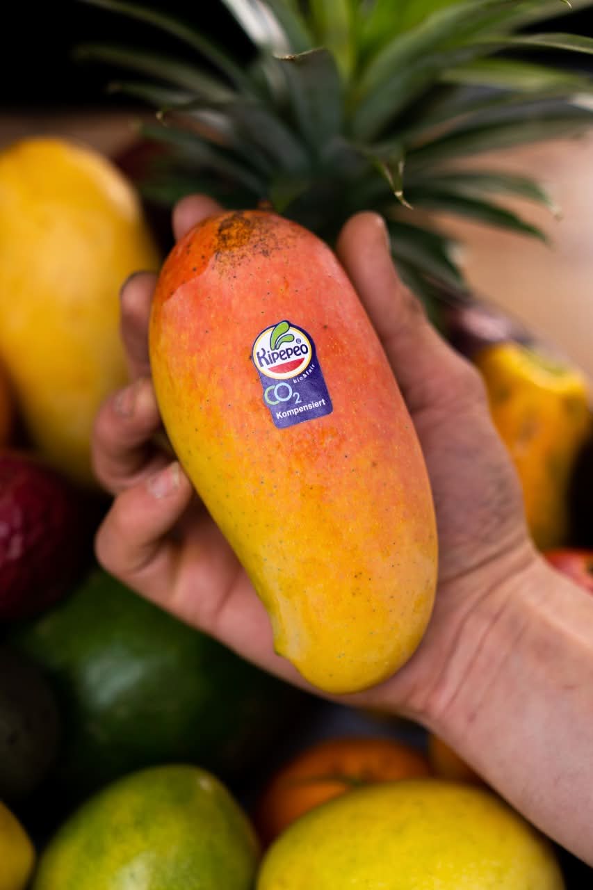 Mango Mix "Mango-Träume" Box - groß