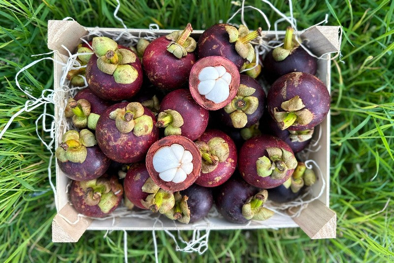 Mangostan naturbelassen