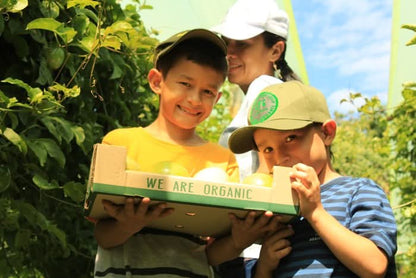 Maracuja gelb von Familie Ramon