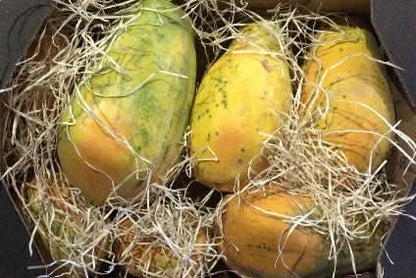 Vulkan Papayas Bio von Andrea aus Sizilien Aktions-Box