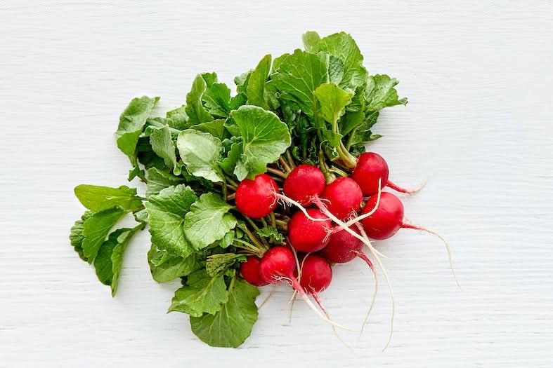 Radieschen Bio demeter