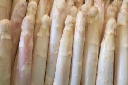 Spargel Familie Heitmeier weiss Bio regional