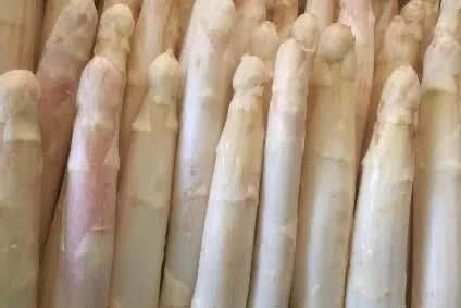 Spargel weiss/violett Bio regional