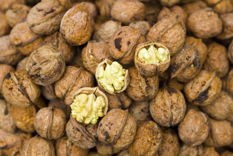 Walnüsse „Franquette“ Bio original Grenoble AOP neue Ernte