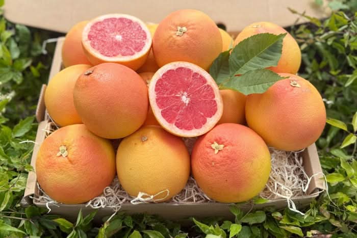 Grapefruit Bio Pink