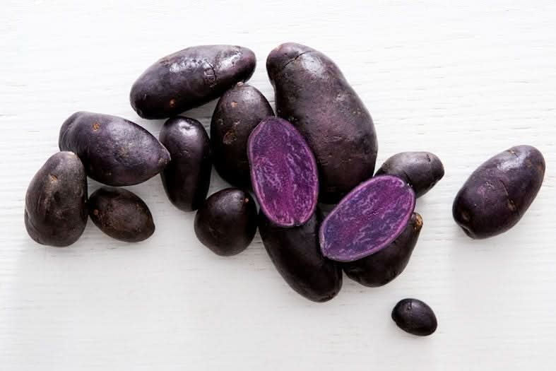 Delikatess-Kartoffel blau "Blaue Anneliese" Bio regional