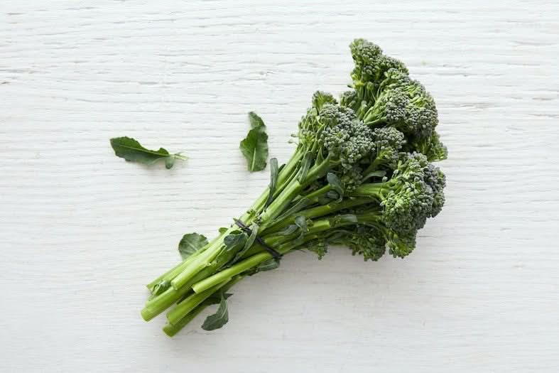 Broccolini Bio