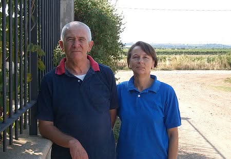 Bio Traube "Melody" kernlos Demeter 500g