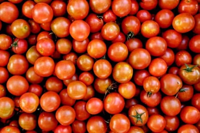 Tomaten Cherry regional Bio vom Bayrhof aus Kempten