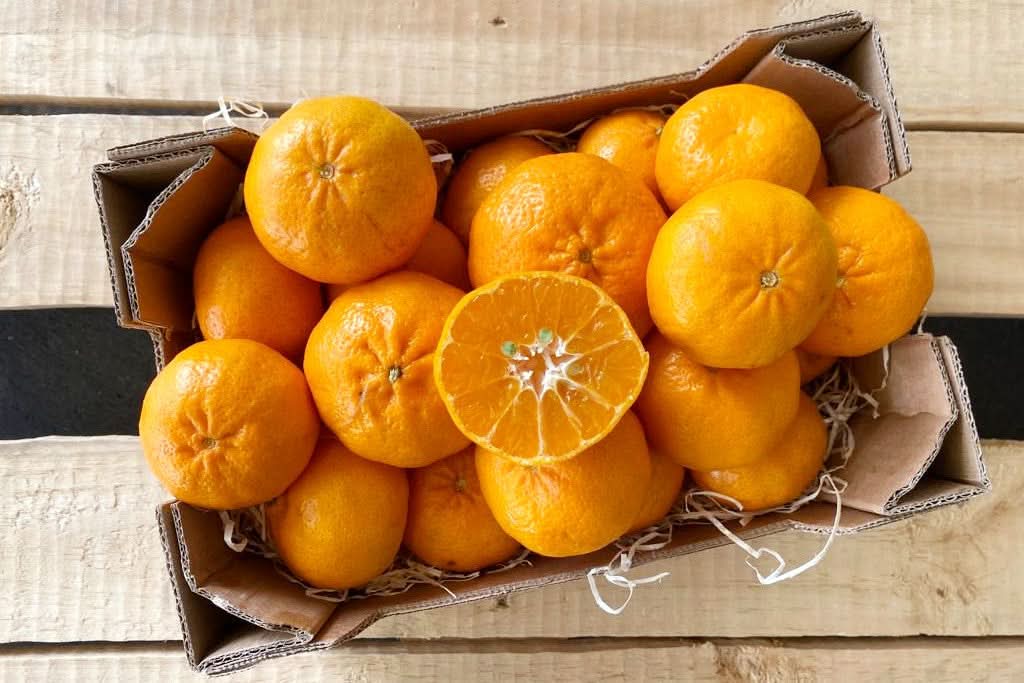 Bio echte Mandarinen "Tardivo di Ciaculli"