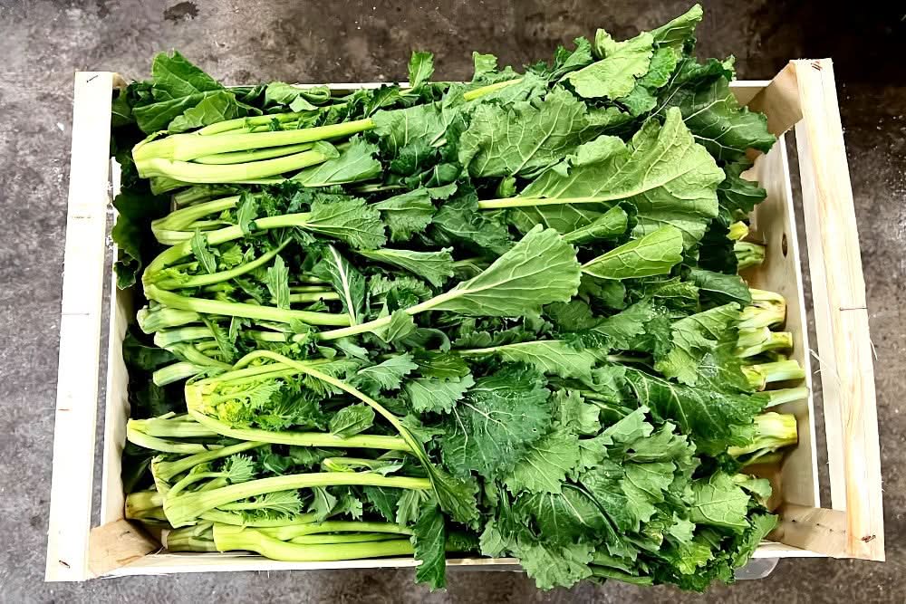 Bio Cime di rapa (Stängelkohl) 1kg