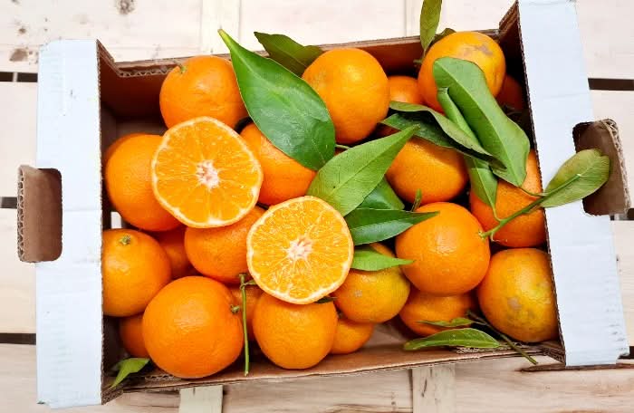 Clementinen Bio mit Blatt Sonderaktion % Box 2,3kg