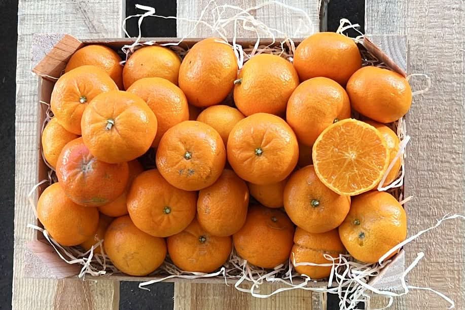 Mini-Clementinen Retter-Box Bio Sonderaktion