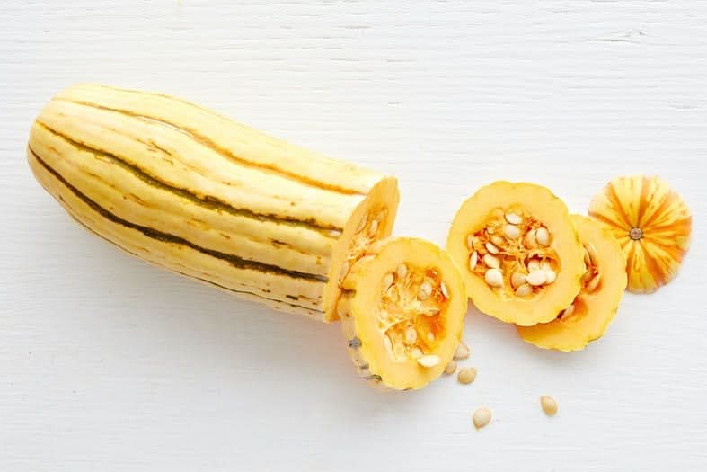 Kürbis "Delicata" Bio regional vom Billesberger Hof 1 Stk.