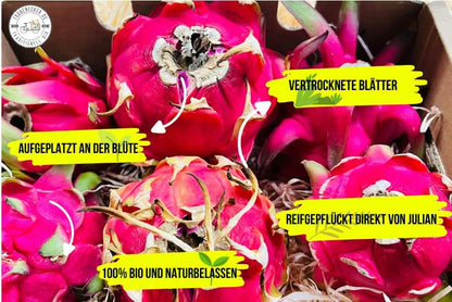 Drachenfrüchte von Julian Retter-Box