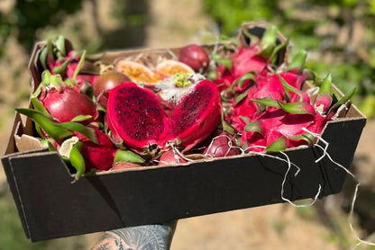 Bio Drachenfrucht kaufen – Frische rote Drachenfrucht Box mit Passionsfrucht aus Andalusien