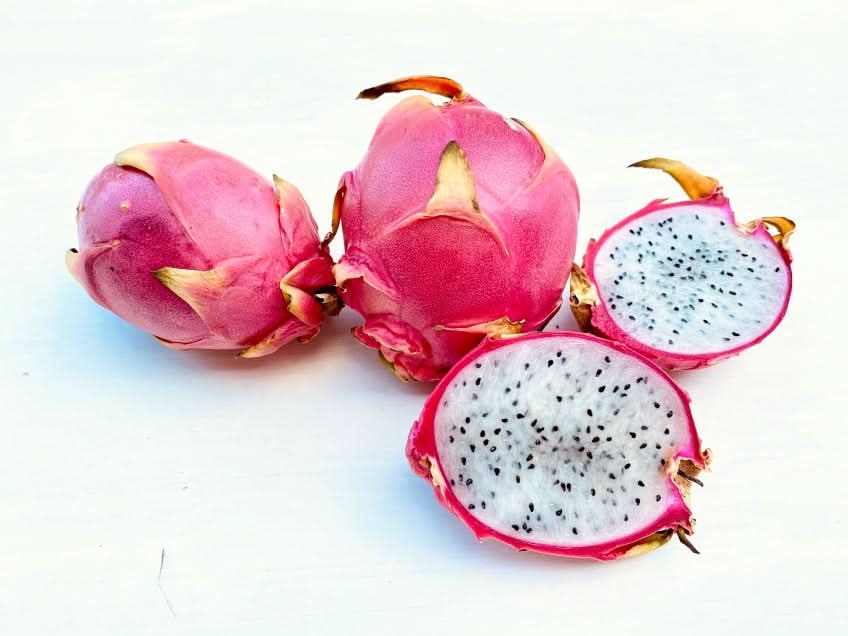 Frische Bio Drachenfrucht kaufen mit weißem Fruchtfleisch, ganze und aufgeschnittene Pitahaya auf weißem Hintergrund