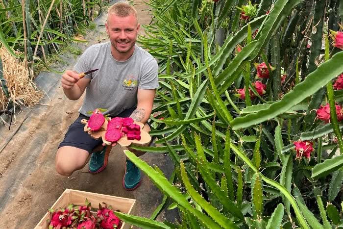 Frische rote Drachenfrucht kaufen – Ernte und Verkostung direkt auf der Finca in Andalusien