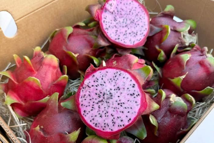 Drachenfrucht rosa Aktionswoche %