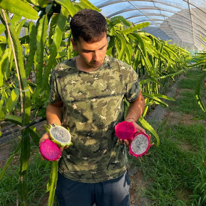 Fruchtfeuer Tropic Mix Box Sonderpreis