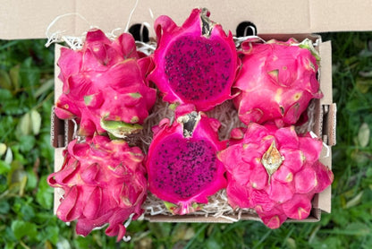 Drachenfrucht rot naturbelassen Indonesien