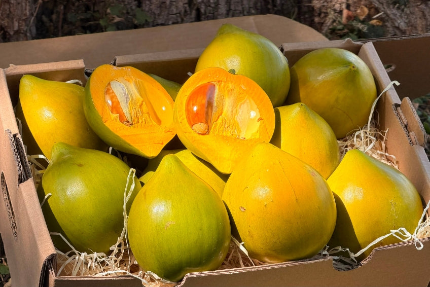 Eggfruit (Canistel)