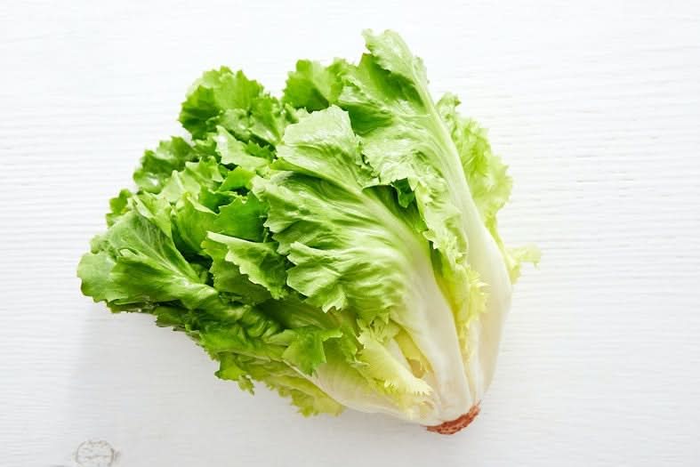 Endiviensalat (groß) Bio samenfest 1 Stk.