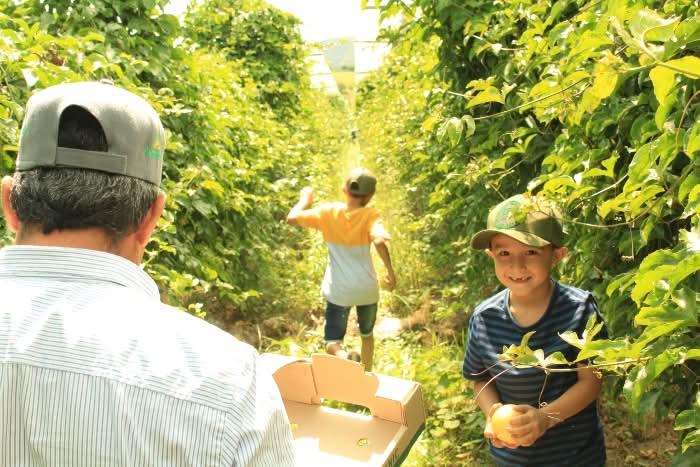 Maracuja gelb von Familie Ramon