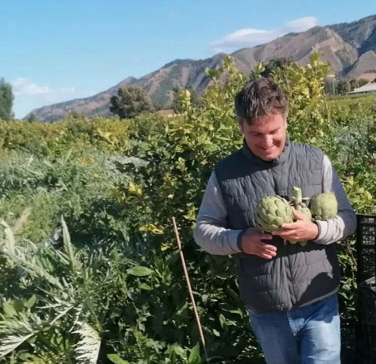 Artischocken Camus Bio aus der Bretagne