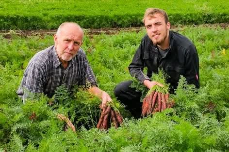 Kartoffeln rotschalig "Butter" gewaschen Bio regional