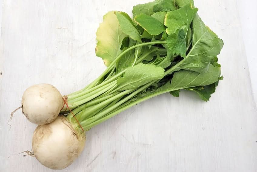 Mairüben Bio ohne Blätter