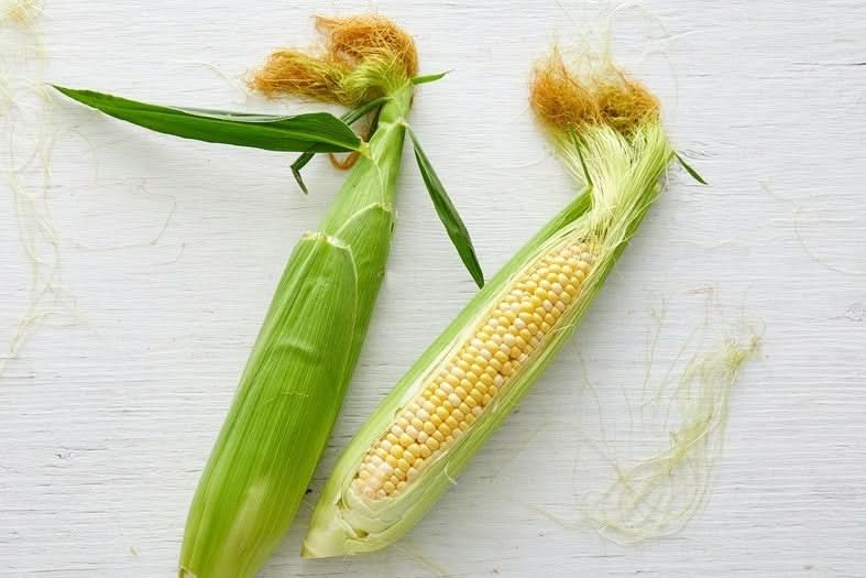 Zuckermais frisch Bio regional 2 Stk.