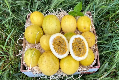 Maracuja gelb von Familie Ramon
