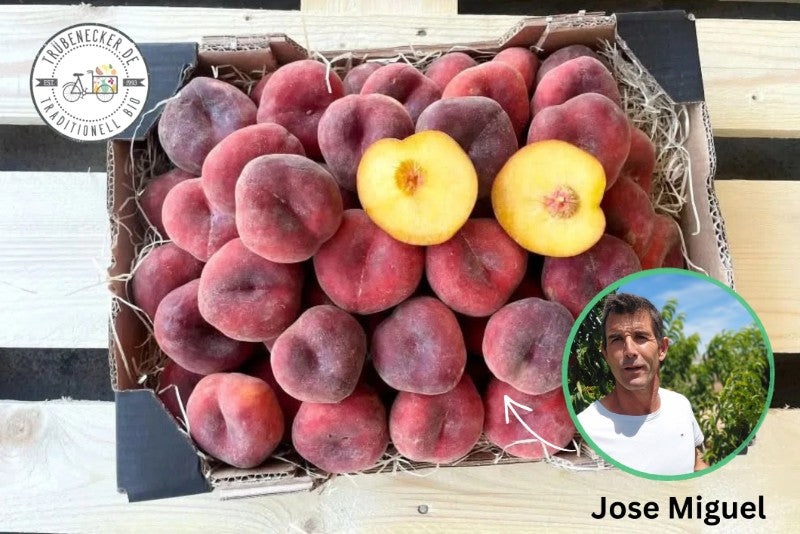 Weinbergpfirsiche gelb Bio von Jose Miguel