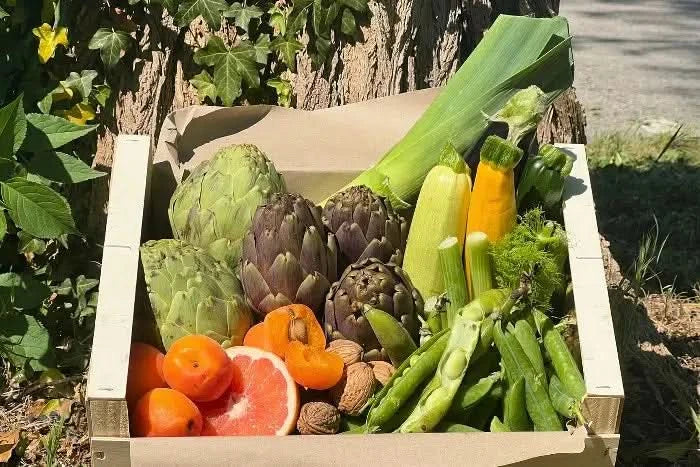 Bio Gemüsebox "Provence Genusskiste"