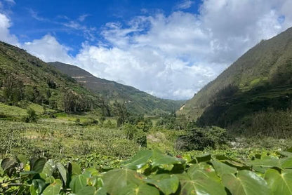 Süße Granadilla naturbelassen