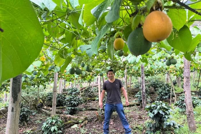 Süße Granadilla naturbelassen