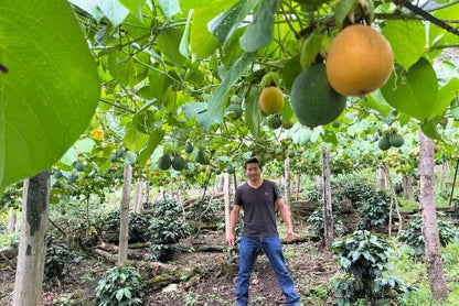 Granadilla & Mangostan Deluxebox