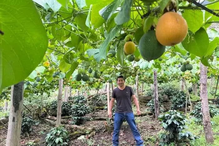 Granadilla & Maracuja Box Aktionspreis %