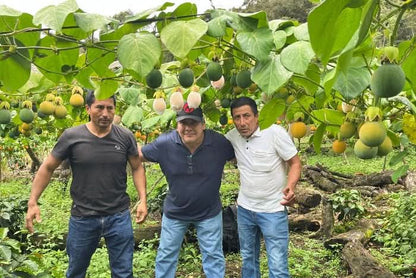 Süße Granadilla naturbelassen