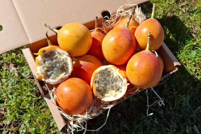 Süße Granadilla naturbelassen Aktionspreis