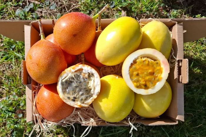 Granadilla & Maracuja Box Aktionspreis %