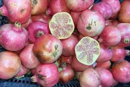 Bio Granatapfel Mo hellfleischig 1kg