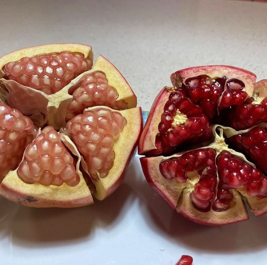 Granatapfel Mix Bio von Antonio