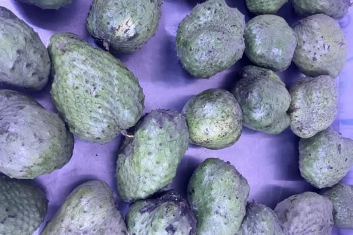 Guanabana (Soursoup/Stachelannone) naturbelassen