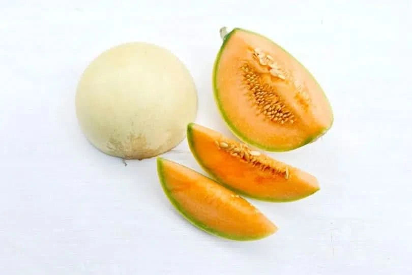 Honigmelone Honeymoon Bio