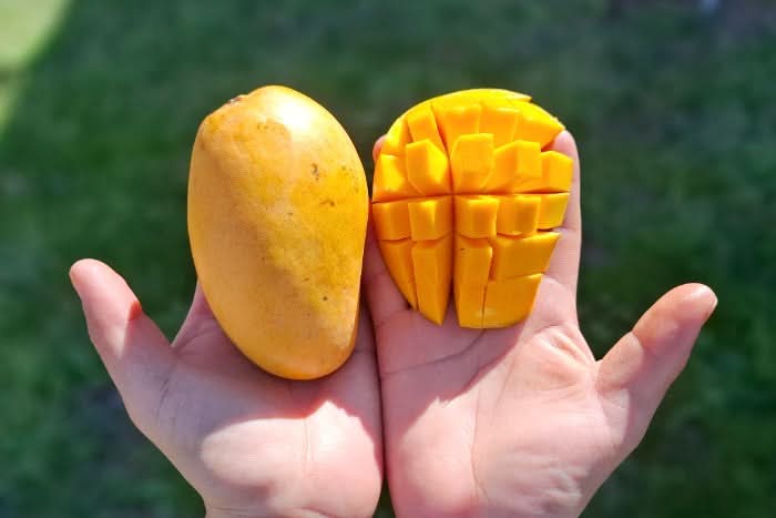 Bio Mango-Passion Box Aktionspreis